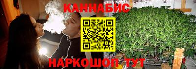 PSILOCYBIN Новодвинск