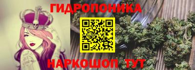 PSILOCYBIN Новодвинск
