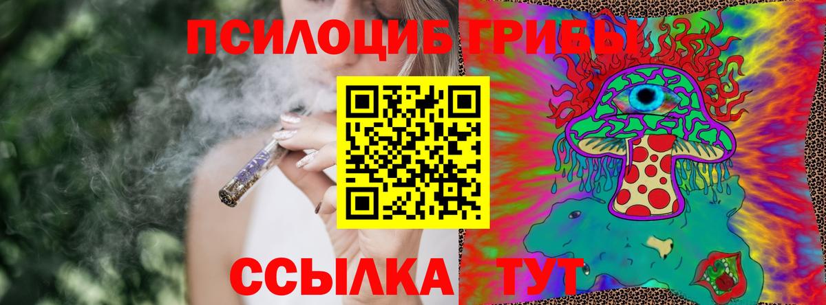Галлюциногенные грибы Psilocybine cubensis  Вход с VPN  хочу наркоту  Нальчик  Галлюциногенные грибы Cubensis 