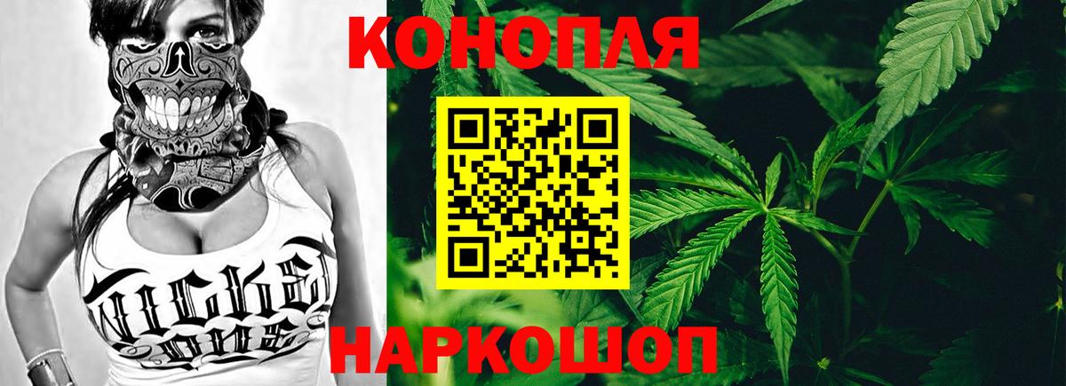 Каннабис индика Нальчик